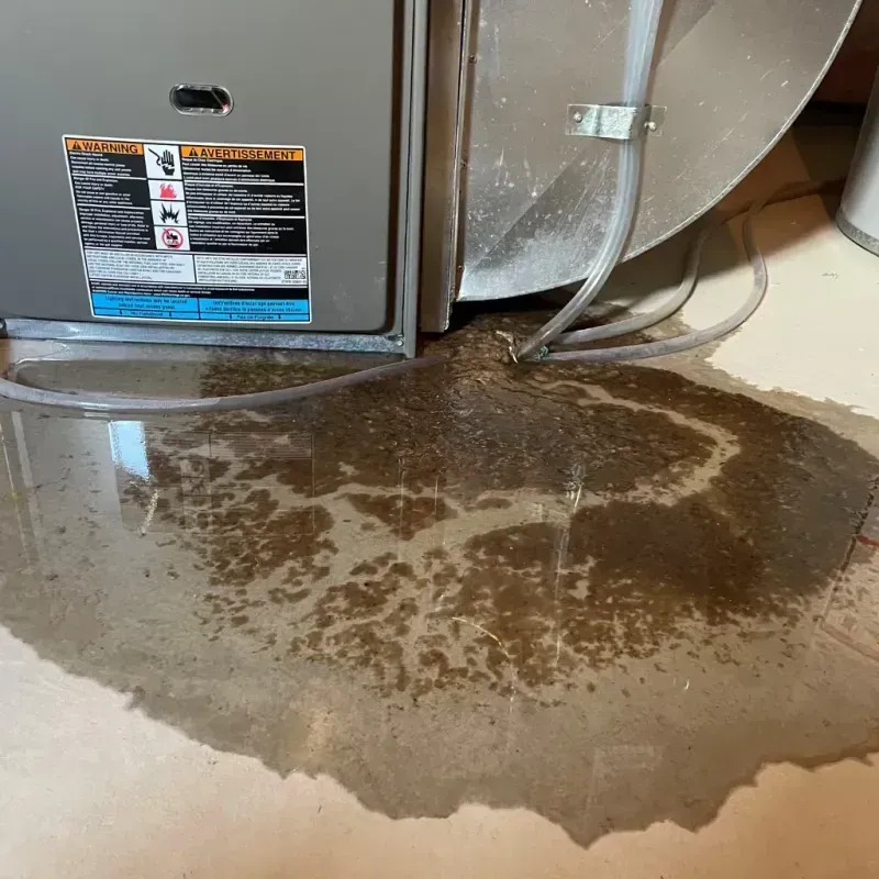 Appliance Leak Cleanup in Woodburn, VA